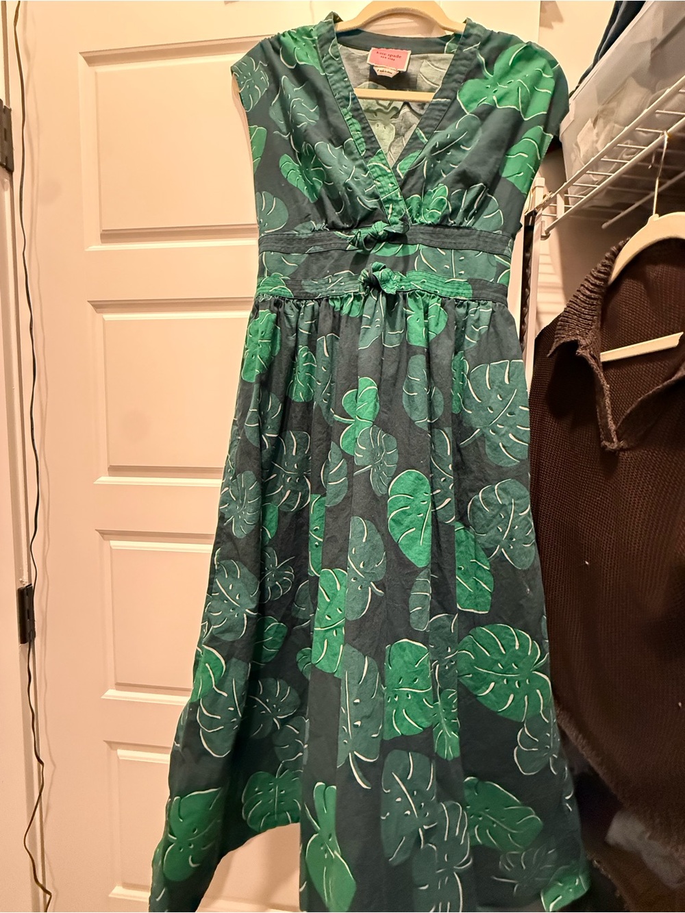 Monstera Kate spade dress